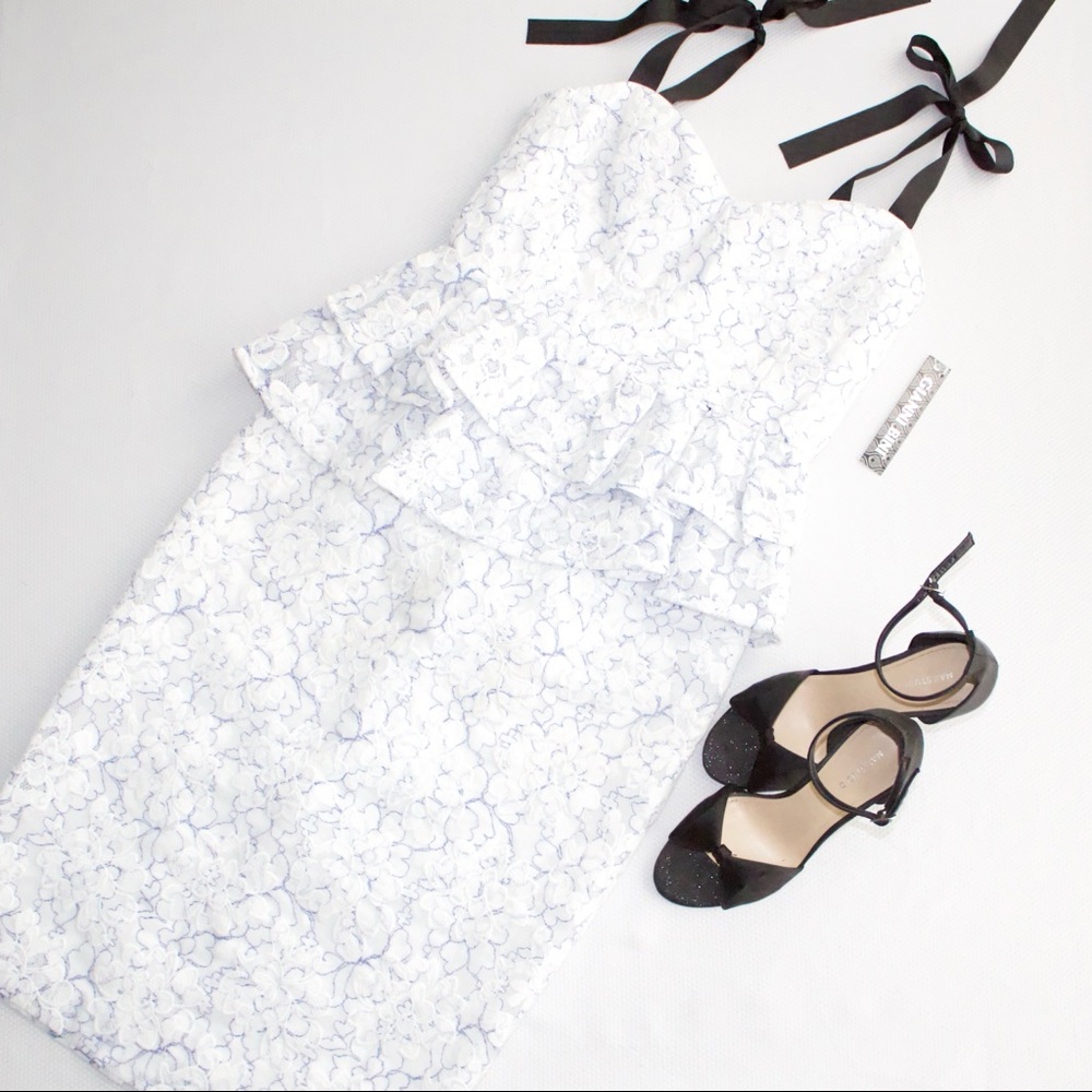 Gianni Bini Peplum Organza Dress